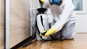 Best Pest Exclusion Services  in Castroville, TX